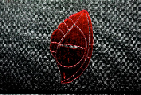 image00133.jpg, coperta față