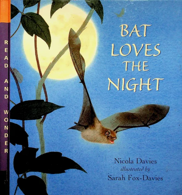 Bat Loves the Night, coperta față