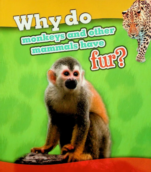 Why Do Monkeys and Other Mammals Have Fur?