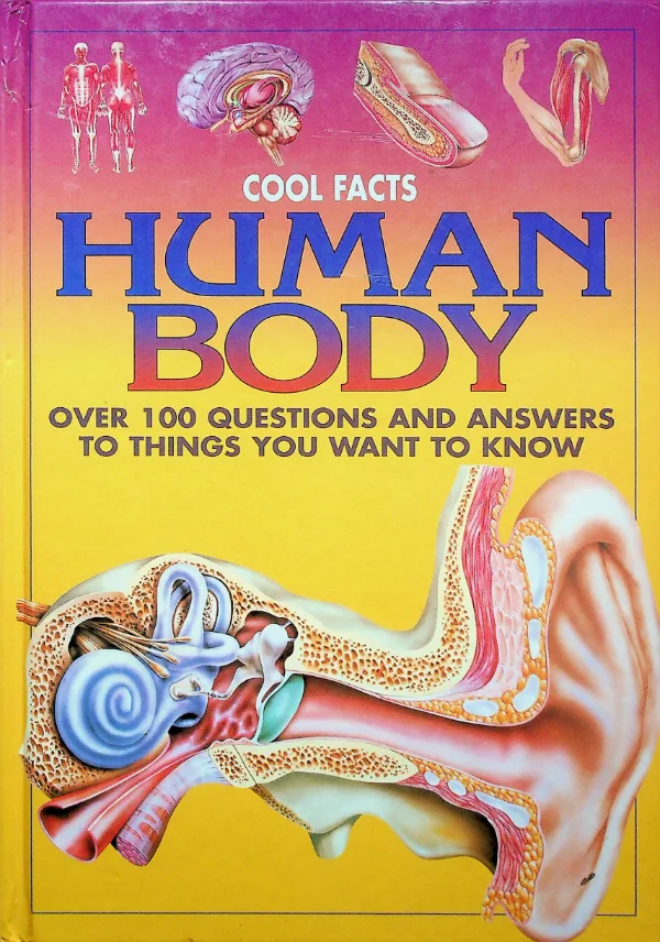 Human Body